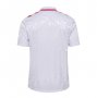 2024 Euro Cup Denmark Away Soccer Jersey Shirt